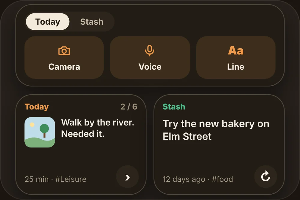 The Easy log widget with camera, voice and line buttons, beside the Today and Stash widgets.